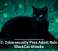 U.S. Cybersecurity Pros Admit Role in BlackCat Attacks