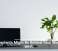 Houseplants Might Be Behind Your Sluggish Wi-Fi